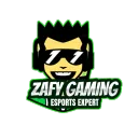 ZAFY GAMING's icon