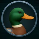 Mega Duck Community