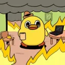 Duck's In The Maritimes