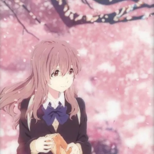 Hoshinoumi 🌸 — мониторинг Discord сервера, статистика и рейтинг