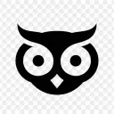 Forest of owls