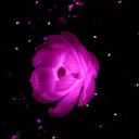 🌌AɴᴅʀᴏᴍᴇDᴀʀᴋ🌌