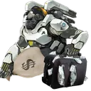 Winston Support