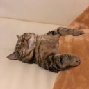 mimimi