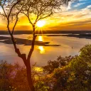 Maxi's dead server :('s icon