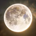 Galaxias