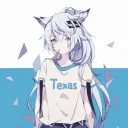 Texas Gaming Area