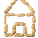 Peanut's Playhouse