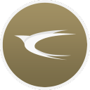 SkyLink™ avatar
