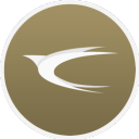 SkyLink™ avatar