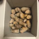 人生楽しもう会