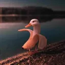 Pecktackular9000 Offical Youtube Server