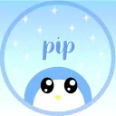 Pip’s Server