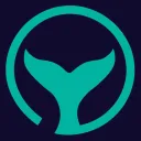 Orcas Group