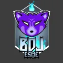 BDJ ESME Lyon