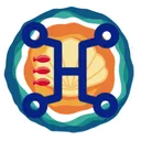 TAMUhack