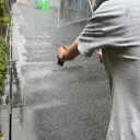 石丸ファミリー