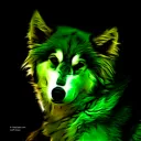 Space - Community Server
