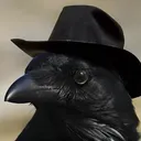 Raven Aelwood