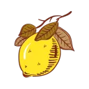 Lemon's Garden