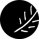 srcML.org