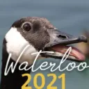 Waterloo Class of '26