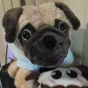 Mimo And Friends