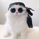 El Michi Stream