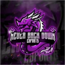 NeverBackDownEsports