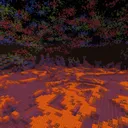Strider Race Official Discord Server