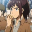 Survey Corps's icon