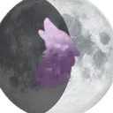 Order of The Hunt