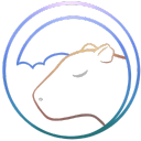 ☃Capybara Cloud☃