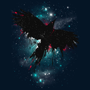 NRT_SpaceBirds-_- Server Icon