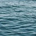 Turtle 3.0’s Ocean