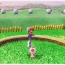 The Sheep Pen
