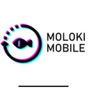 MOLOKI MOBILE - продвижение мобильных игр и приложений