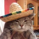 Tobycat Crew