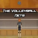 The Volleyball Nets