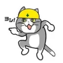食卓