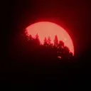 Red Dawn: A Warriors Roleplay Server