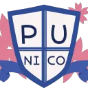 PUNICORD (PUNICO On Discord)
