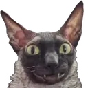 ᛕ𐌏ᚺ𐌄ᛒᛈᛕИ𐌄 ᛒ𐌏በᛕИ