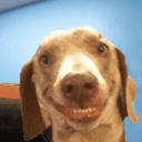 Techlin's Meme Mandem icon