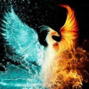 .:ThePhoenix:.