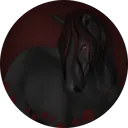Dark Roses Legion Open Server