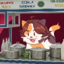 k i c h i 🐈 el gato miaulentero