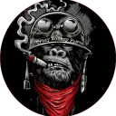 Crazy Monkey PvP