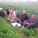 عزبة اولاد مرزوق