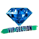 VIP SECTION